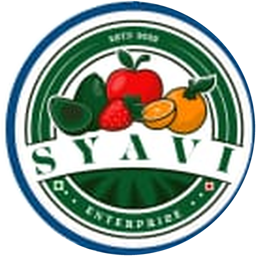 Syavi Enterprises logo